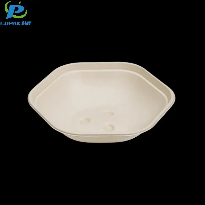 Biodegradable sugarcane pulp bowl for food