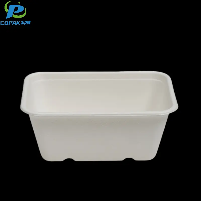 1000ml Bagasse Biodegradable Fast Food Container