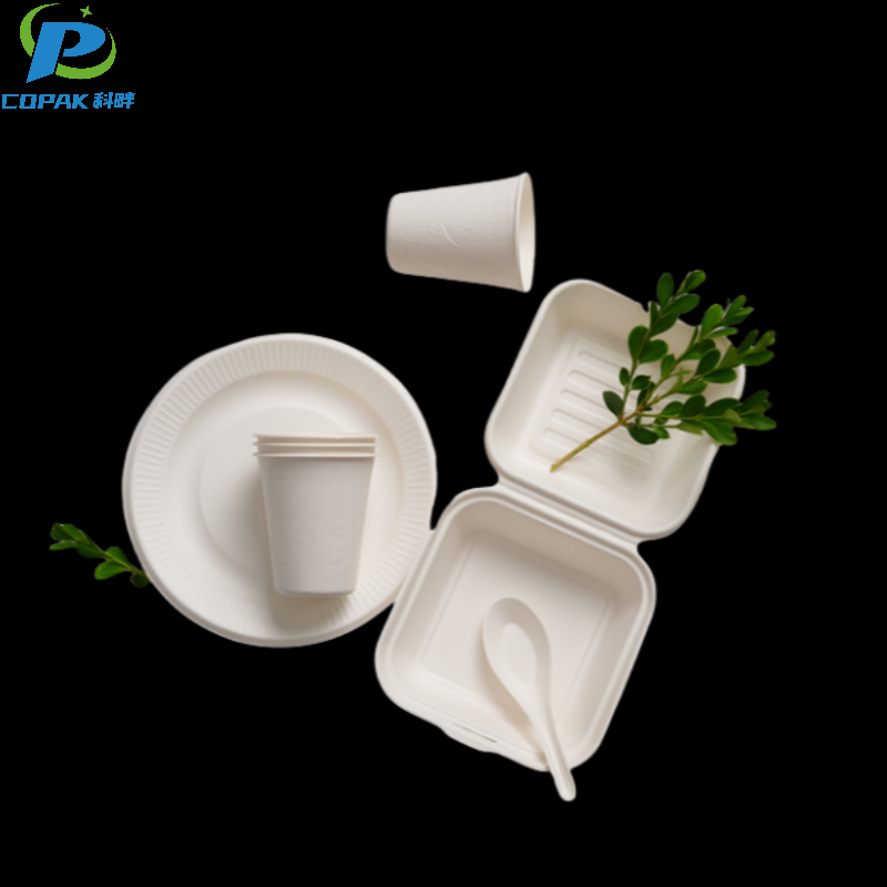 8” 2 compartment compostable sugarcane Clamshell Containers