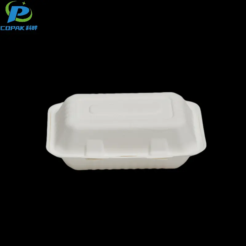 9x6 inch Biodegradable Sugarcane Molded Lunch Box
