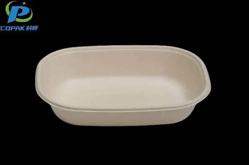 Sugarcane Bagasse Takeaway Box