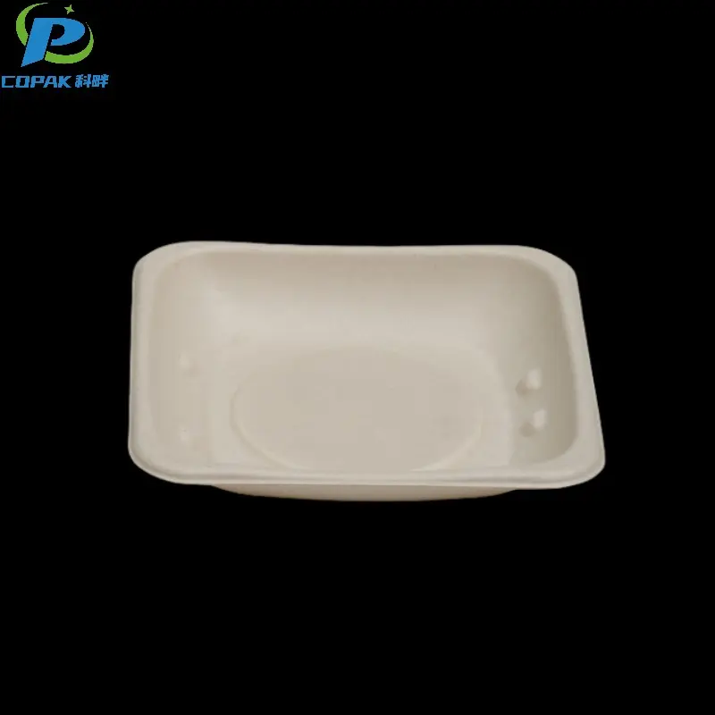 PFAS Free Food Packaging Bagasse Pulp Square Bowl