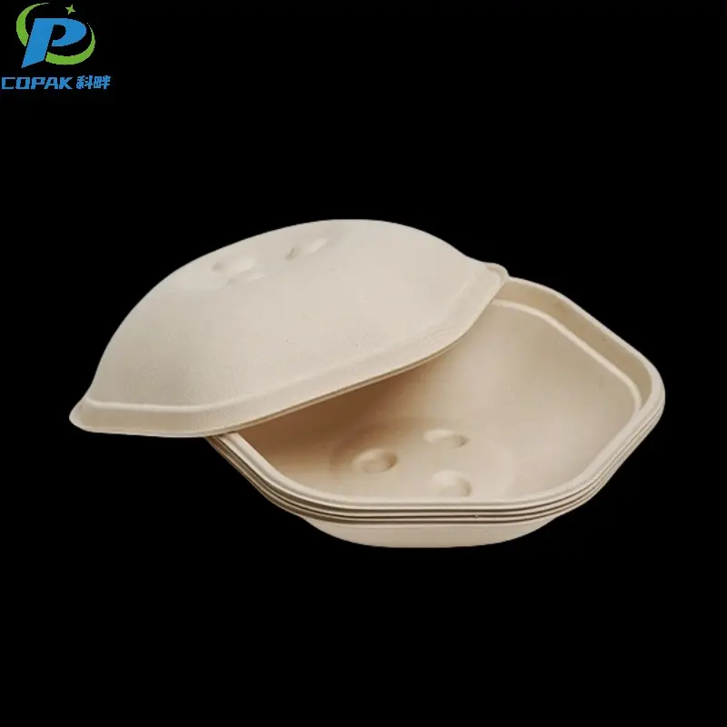 CPB1050-2.jpg