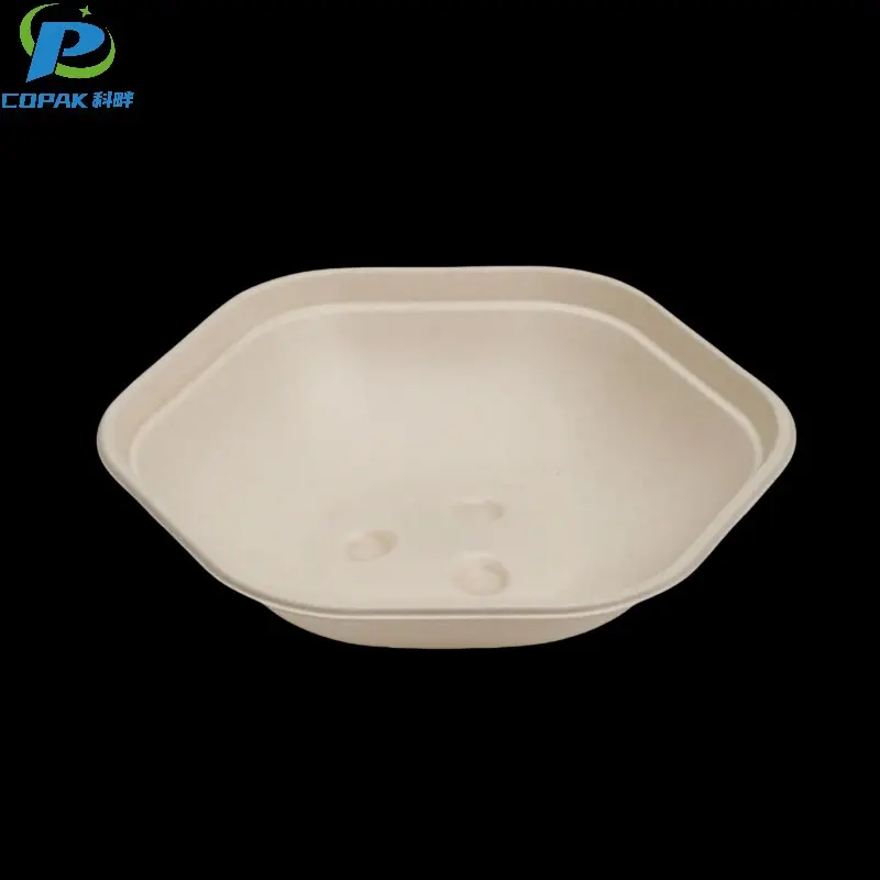 Wholesale compostable sugarcane pulp bowl for salad