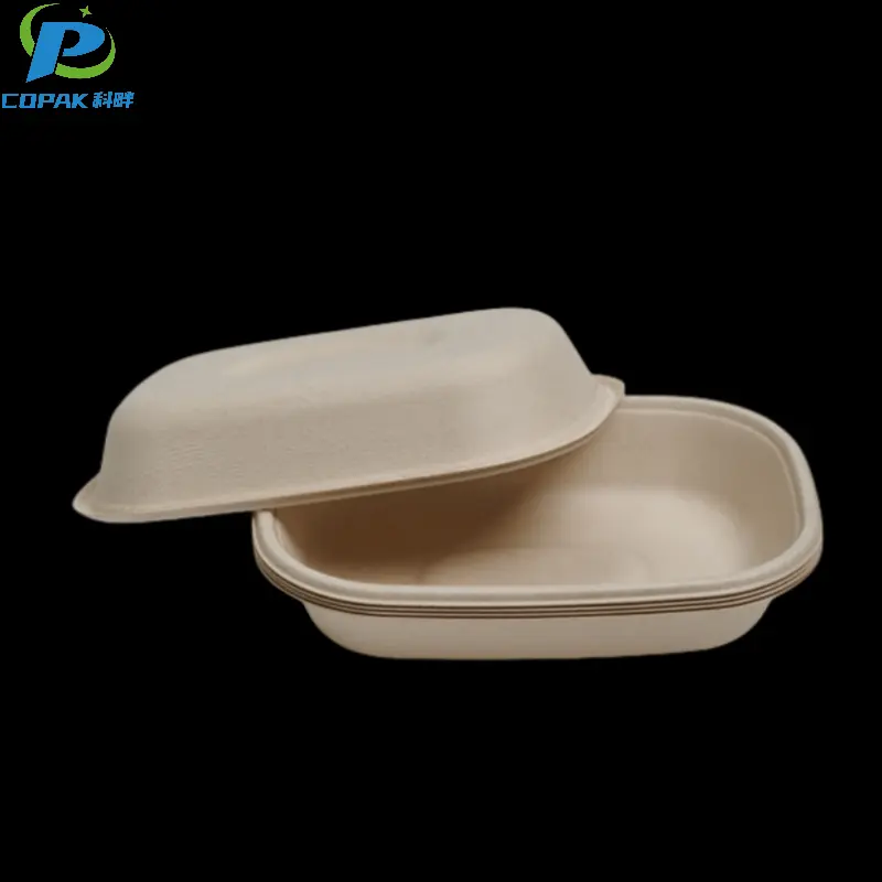 500ml sugarcane bagasse takeaway food container